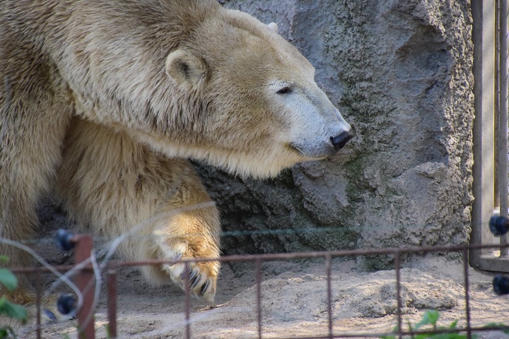 a0151913_10164860.jpg