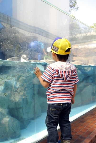 ありがとう！松島水族館！！_d0179113_20233244.jpg