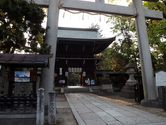 上御料神社　イチハツ_e0048413_17441159.jpg