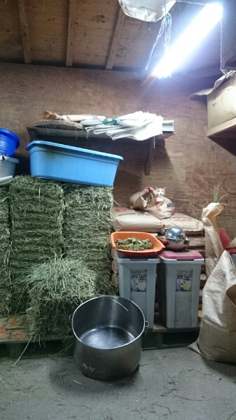 b0187620_18313330.jpg