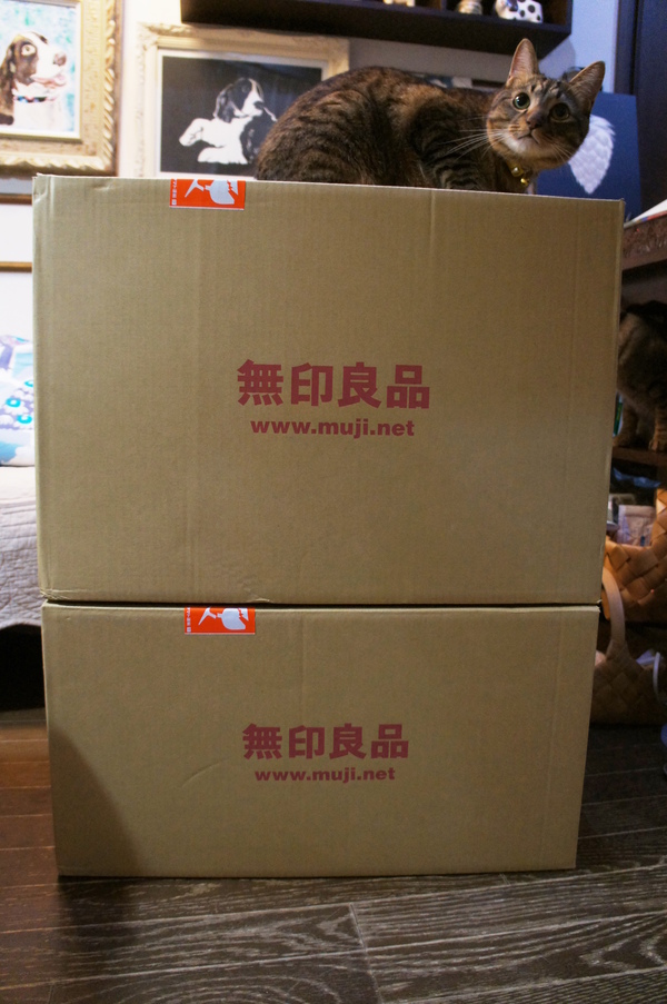 b0279623_16113553.jpg
