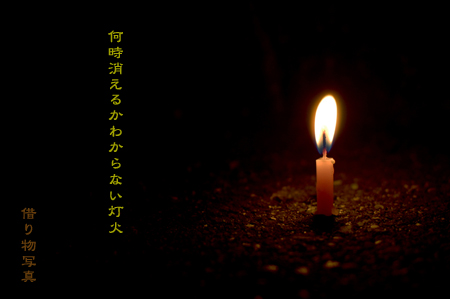 d0042827_2192860.jpg