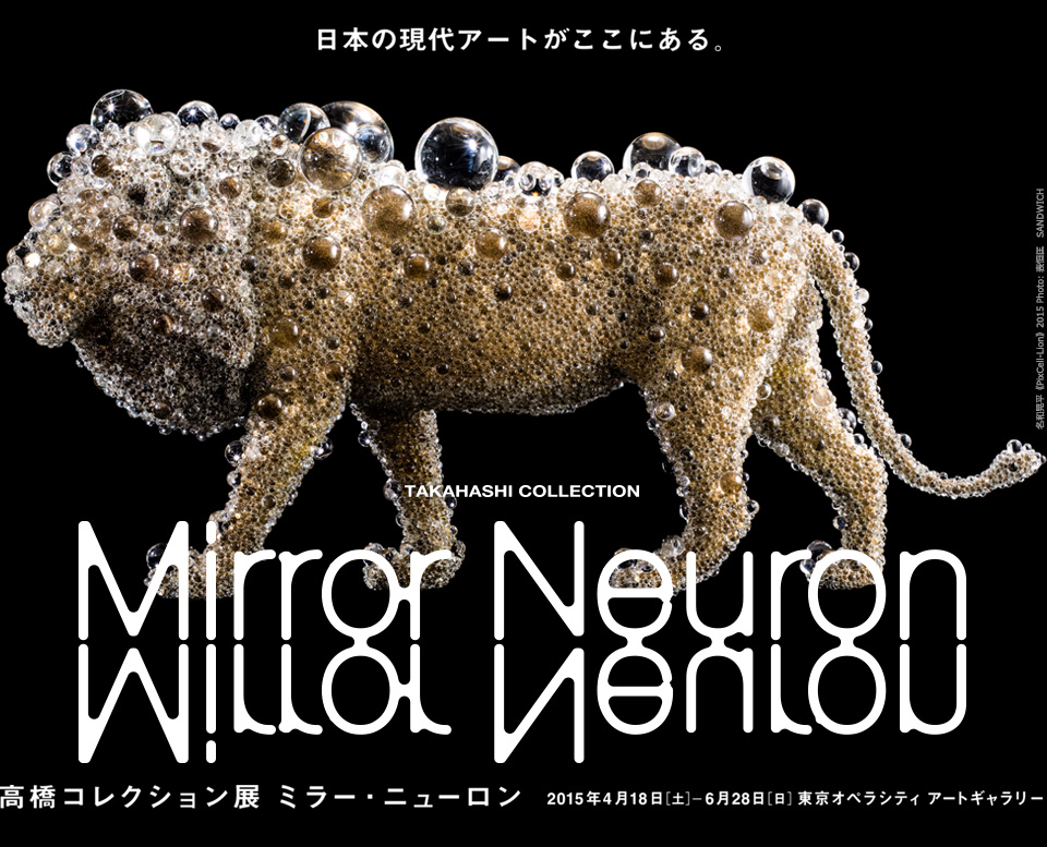展覧会「高橋コレクション展 ミラー・ニューロン」_b0187229_11371714.jpg