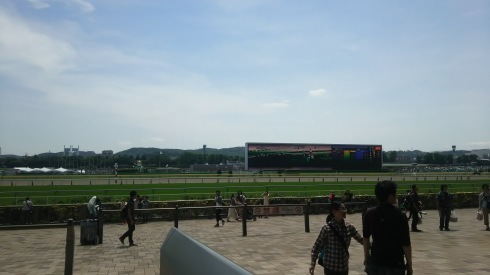 東京競馬場なう_c0131829_12150663.jpg