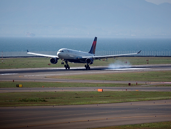 d0001533_2034449.jpg