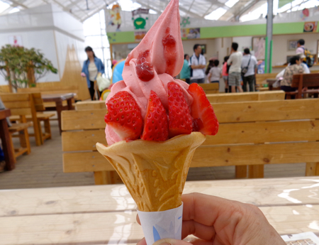 f0060535_2338770.jpg