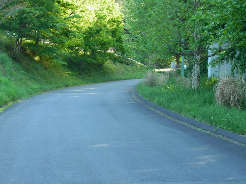 f0206939_12553340.jpg