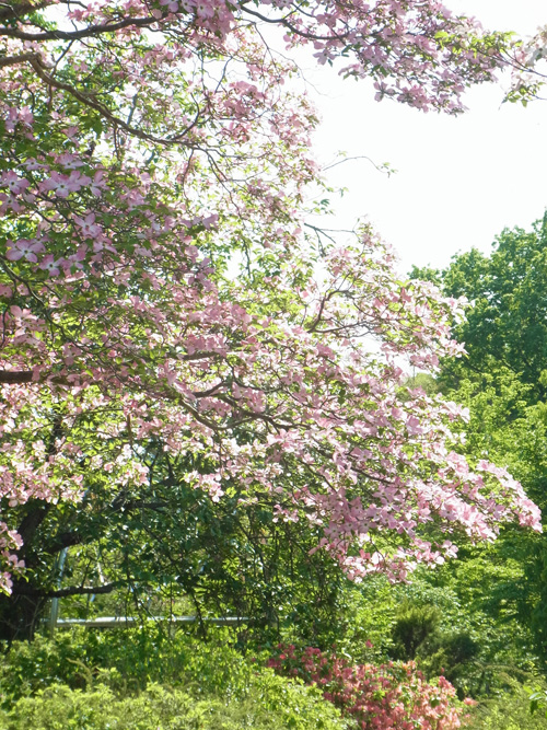 f0206939_12574276.jpg