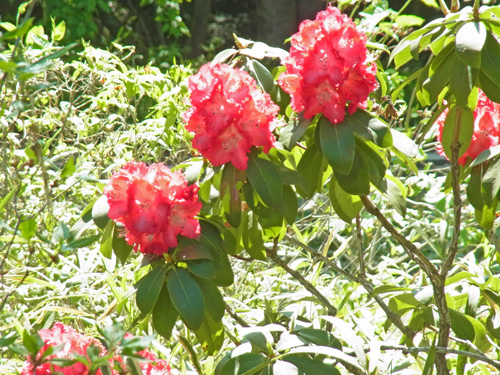 f0206939_12575680.jpg