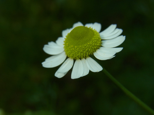 f0206939_14303944.jpg