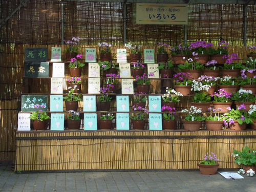 f0206939_18272612.jpg