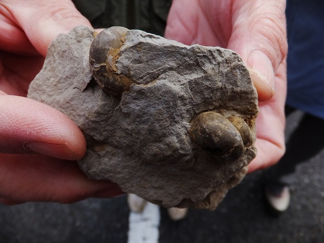 d0048350_2019086.jpg