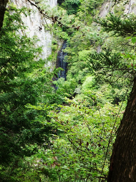 d0048350_2019481.jpg