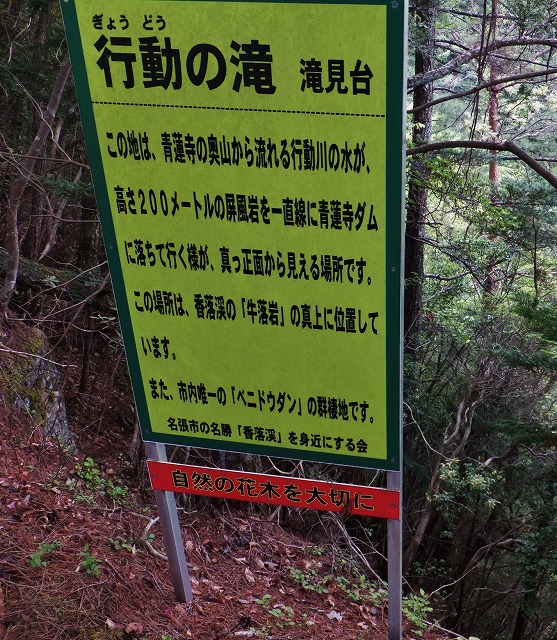 d0048350_2020895.jpg
