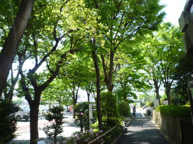 GW期間中の予定は決まりましたか。_b0246953_17244585.jpg