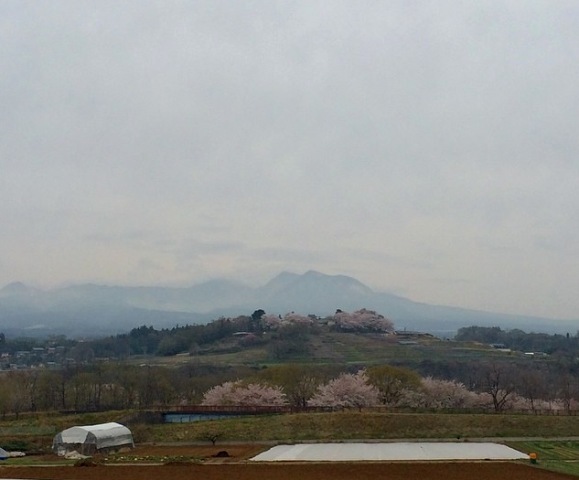 b0173754_16424946.jpg