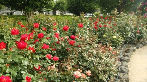 b0292155_22445857.jpg
