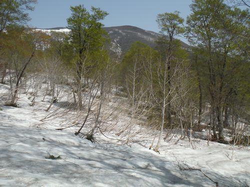 c0294658_20083994.jpg