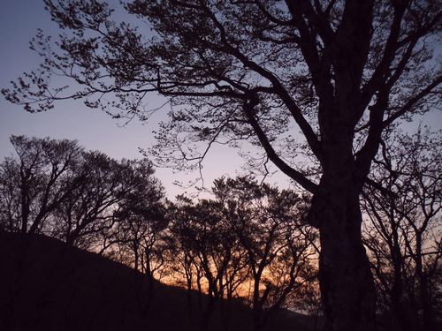 c0294658_21390000.jpg