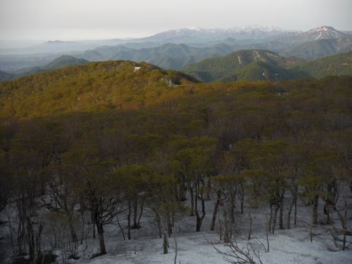 c0294658_21562684.jpg