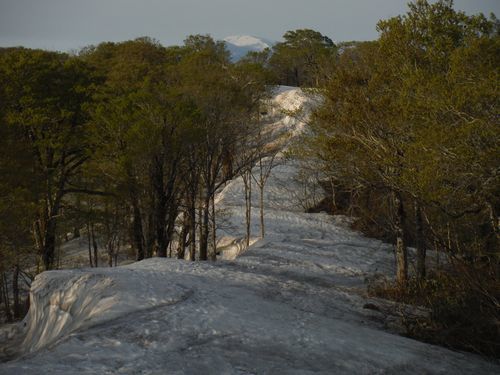 c0294658_22165174.jpg