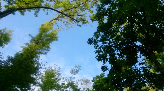 d0290458_6335495.jpg