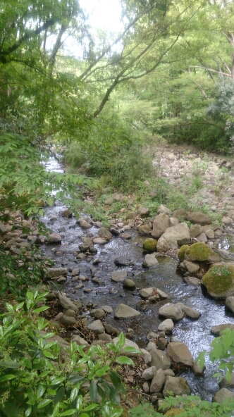 d0290458_6455679.jpg