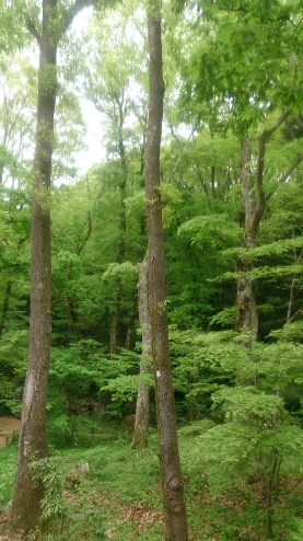 d0290458_6463258.jpg