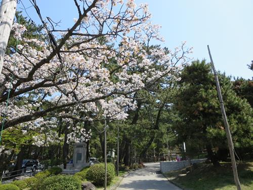 【初夏の酒田】日和山公園の散策_c0042960_1611025.jpg