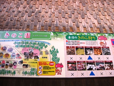 c0190960_200049.jpg