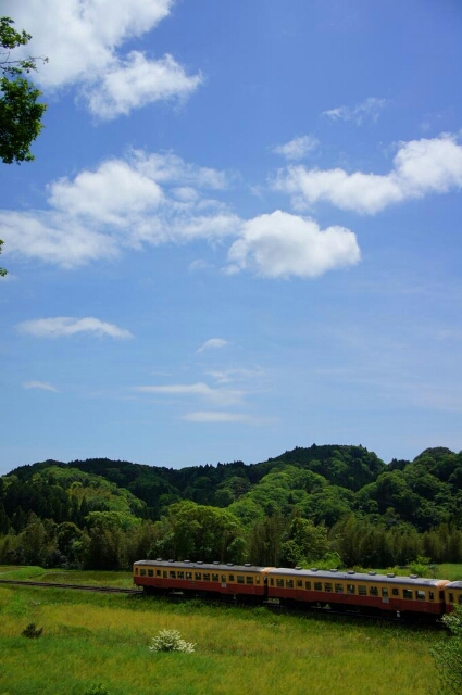 b0192470_2238797.jpg