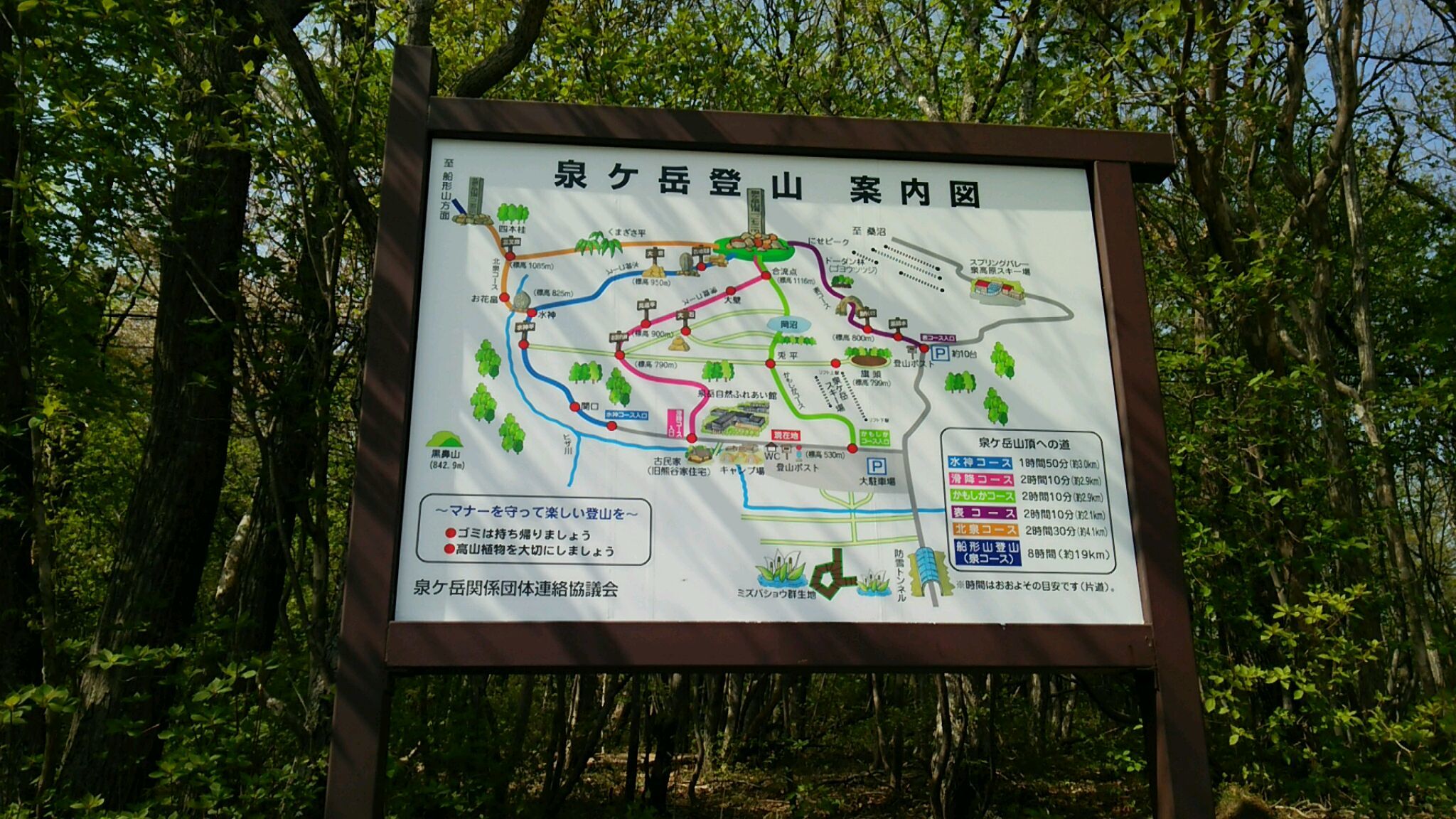 e0109775_10022645.jpeg