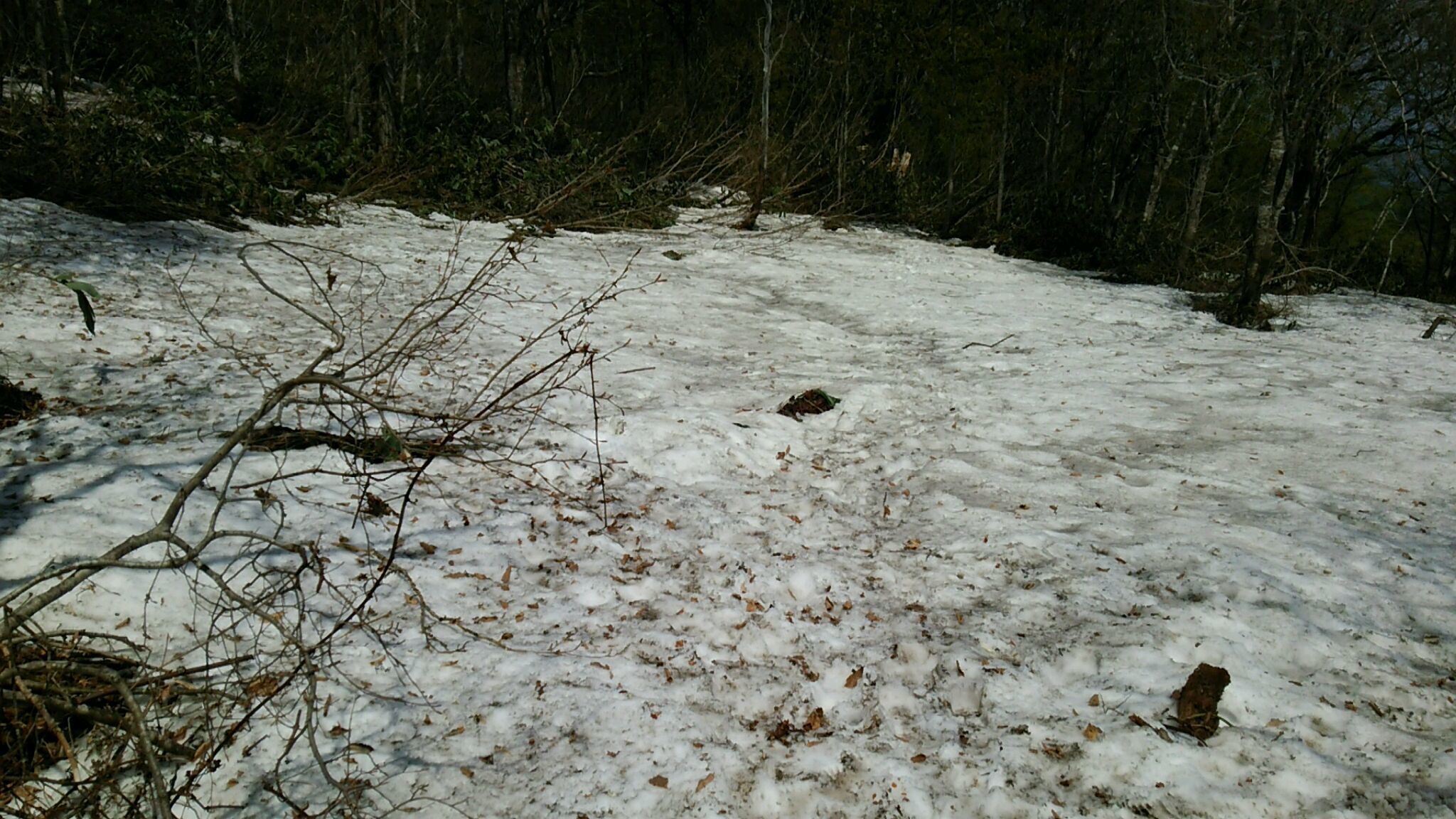 e0109775_10173664.jpeg