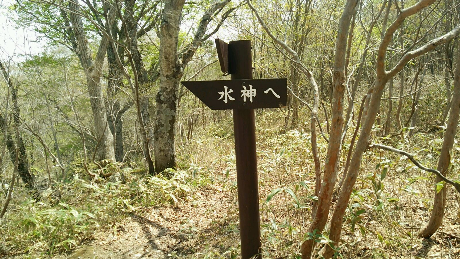 e0109775_10195573.jpeg