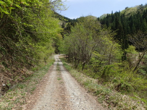 a0279883_21200200.jpg