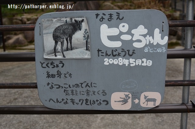 ２０１５年４月　ほぼ毎月とくしま動物園　その３_a0052986_18401428.jpg