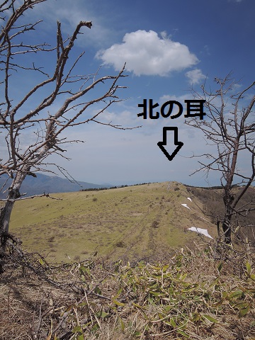 霧ケ峰へ^^_a0211886_23124914.jpg