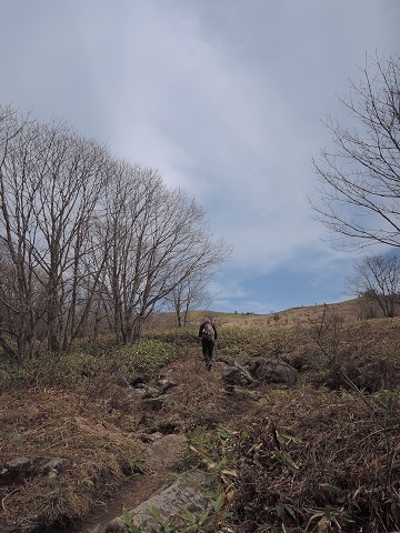 霧ケ峰へ^^_a0211886_23363766.jpg