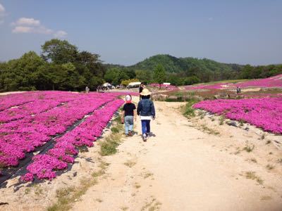 芝桜を見に行く。_a0279987_8384885.jpg