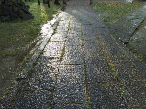 2015年５月のご案内_a0124588_23505124.jpg