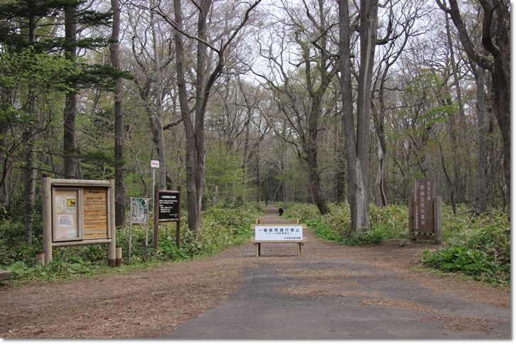 f0146493_2328125.jpg