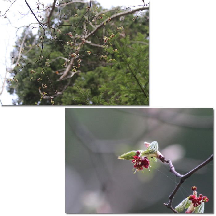 f0146493_2332337.jpg