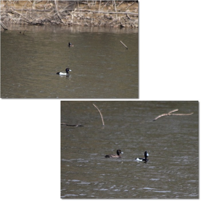 f0146493_2333457.jpg