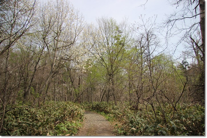 f0146493_2334064.jpg