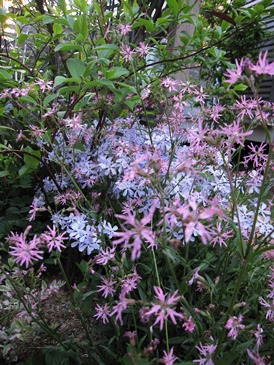 c0117898_2204331.jpg
