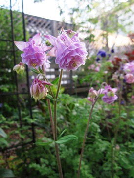 c0117898_2231343.jpg