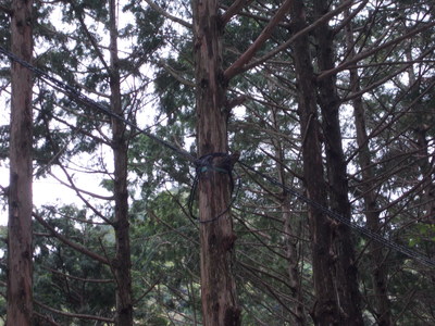 f0308898_18114739.jpg