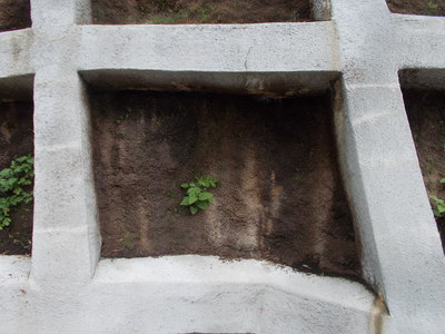 f0308898_18124964.jpg