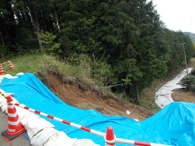 f0308898_1882993.jpg