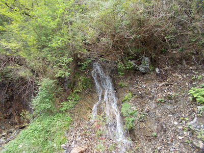 f0308898_1893531.jpg